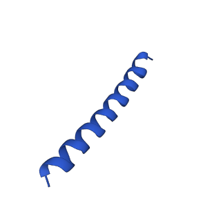 21816_6wl7_a_v1-2
Cryo-EM of Form 2 like peptide filament, 29-20-2