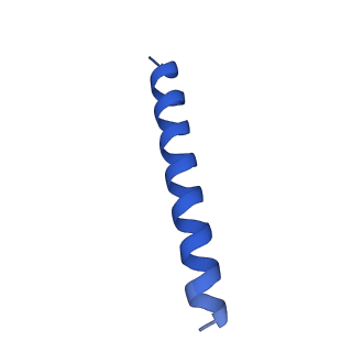 21816_6wl7_bA_v1-1
Cryo-EM of Form 2 like peptide filament, 29-20-2