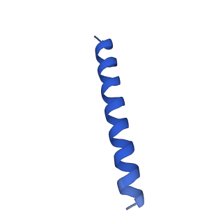 21816_6wl7_bA_v1-2
Cryo-EM of Form 2 like peptide filament, 29-20-2