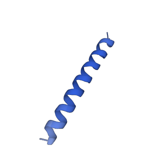 21816_6wl7_b_v1-1
Cryo-EM of Form 2 like peptide filament, 29-20-2
