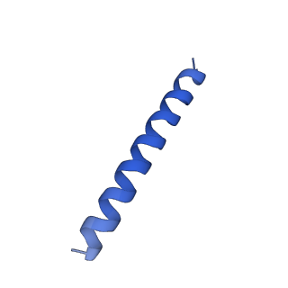 21816_6wl7_b_v1-2
Cryo-EM of Form 2 like peptide filament, 29-20-2