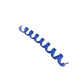 21816_6wl7_dA_v1-1
Cryo-EM of Form 2 like peptide filament, 29-20-2