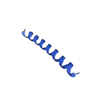 21816_6wl7_dA_v1-2
Cryo-EM of Form 2 like peptide filament, 29-20-2