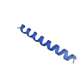 21816_6wl7_eA_v1-1
Cryo-EM of Form 2 like peptide filament, 29-20-2