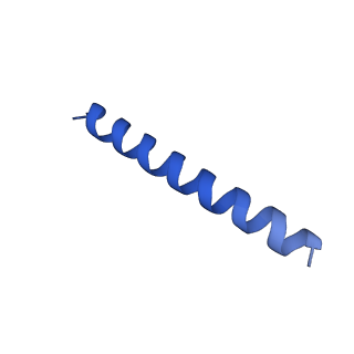 21816_6wl7_eA_v1-2
Cryo-EM of Form 2 like peptide filament, 29-20-2