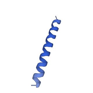21816_6wl7_g_v1-1
Cryo-EM of Form 2 like peptide filament, 29-20-2
