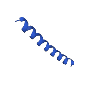 21816_6wl7_iA_v1-1
Cryo-EM of Form 2 like peptide filament, 29-20-2