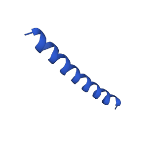 21816_6wl7_iA_v1-2
Cryo-EM of Form 2 like peptide filament, 29-20-2