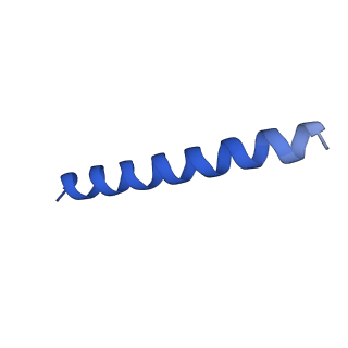 21816_6wl7_i_v1-2
Cryo-EM of Form 2 like peptide filament, 29-20-2