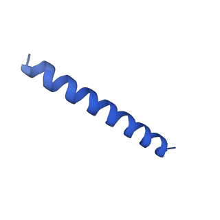 21816_6wl7_jA_v1-2
Cryo-EM of Form 2 like peptide filament, 29-20-2