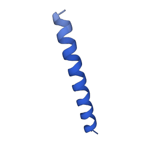 21816_6wl7_j_v1-2
Cryo-EM of Form 2 like peptide filament, 29-20-2