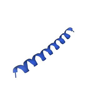 21816_6wl7_k_v1-2
Cryo-EM of Form 2 like peptide filament, 29-20-2