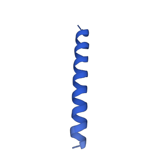 21816_6wl7_lA_v1-1
Cryo-EM of Form 2 like peptide filament, 29-20-2