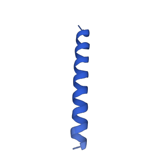 21816_6wl7_lA_v1-2
Cryo-EM of Form 2 like peptide filament, 29-20-2