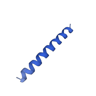 21816_6wl7_l_v1-1
Cryo-EM of Form 2 like peptide filament, 29-20-2
