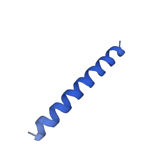 21816_6wl7_l_v1-2
Cryo-EM of Form 2 like peptide filament, 29-20-2