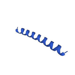 21816_6wl7_nA_v1-2
Cryo-EM of Form 2 like peptide filament, 29-20-2