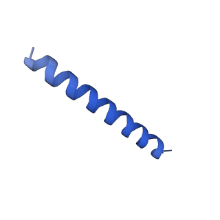 21816_6wl7_o_v1-2
Cryo-EM of Form 2 like peptide filament, 29-20-2