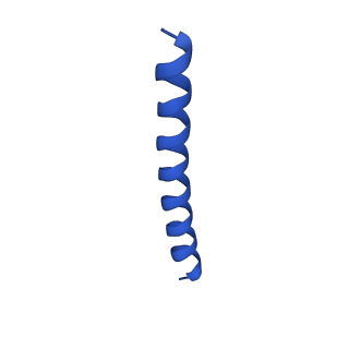 21816_6wl7_pA_v1-1
Cryo-EM of Form 2 like peptide filament, 29-20-2