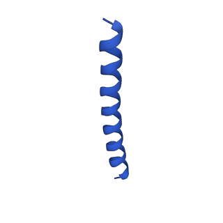 21816_6wl7_pA_v1-2
Cryo-EM of Form 2 like peptide filament, 29-20-2