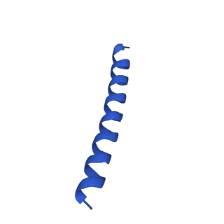 21816_6wl7_p_v1-2
Cryo-EM of Form 2 like peptide filament, 29-20-2