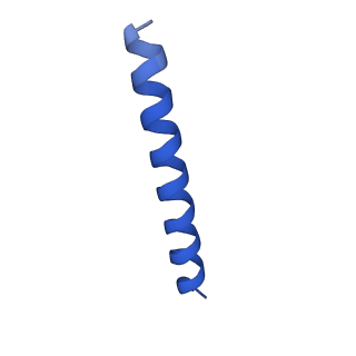 21816_6wl7_qA_v1-2
Cryo-EM of Form 2 like peptide filament, 29-20-2