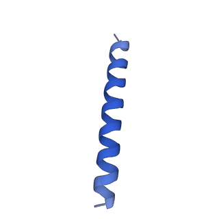 21816_6wl7_q_v1-1
Cryo-EM of Form 2 like peptide filament, 29-20-2