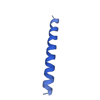 21816_6wl7_q_v1-2
Cryo-EM of Form 2 like peptide filament, 29-20-2