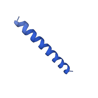 21816_6wl7_tA_v1-2
Cryo-EM of Form 2 like peptide filament, 29-20-2