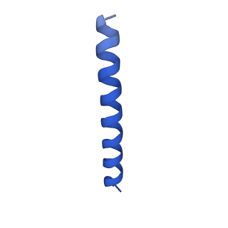 21816_6wl7_t_v1-1
Cryo-EM of Form 2 like peptide filament, 29-20-2