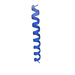 21816_6wl7_t_v1-2
Cryo-EM of Form 2 like peptide filament, 29-20-2