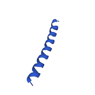 21816_6wl7_uA_v1-2
Cryo-EM of Form 2 like peptide filament, 29-20-2