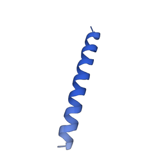 21816_6wl7_vA_v1-1
Cryo-EM of Form 2 like peptide filament, 29-20-2