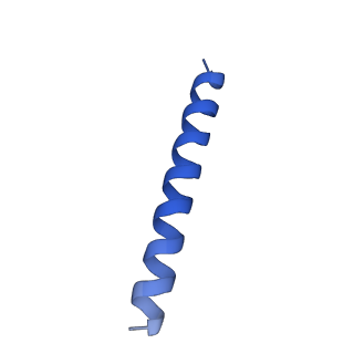 21816_6wl7_vA_v1-2
Cryo-EM of Form 2 like peptide filament, 29-20-2