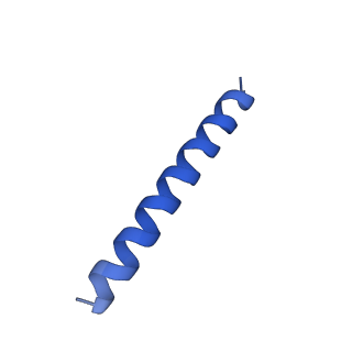 21816_6wl7_wA_v1-1
Cryo-EM of Form 2 like peptide filament, 29-20-2