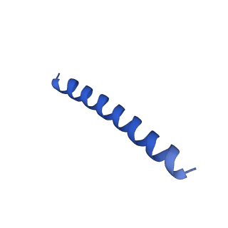 21816_6wl7_w_v1-1
Cryo-EM of Form 2 like peptide filament, 29-20-2