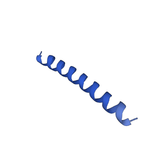 21816_6wl7_w_v1-2
Cryo-EM of Form 2 like peptide filament, 29-20-2