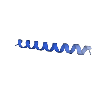 21816_6wl7_yA_v1-2
Cryo-EM of Form 2 like peptide filament, 29-20-2