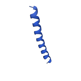 21816_6wl7_zA_v1-2
Cryo-EM of Form 2 like peptide filament, 29-20-2