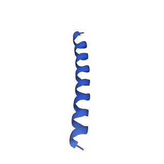 21816_6wl7_z_v1-2
Cryo-EM of Form 2 like peptide filament, 29-20-2