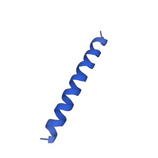 21817_6wl8_2_v1-1
Cryo-EM of Form 2 peptide filament