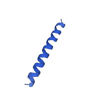 21817_6wl8_2_v1-2
Cryo-EM of Form 2 peptide filament