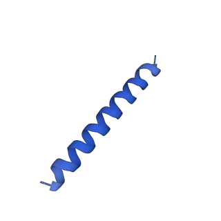 21817_6wl8_5_v1-1
Cryo-EM of Form 2 peptide filament