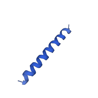 21817_6wl8_5_v1-2
Cryo-EM of Form 2 peptide filament