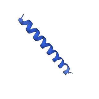 21817_6wl8_6_v1-1
Cryo-EM of Form 2 peptide filament