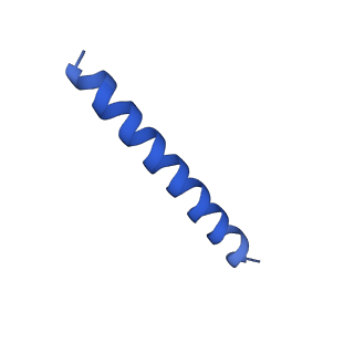 21817_6wl8_6_v1-2
Cryo-EM of Form 2 peptide filament