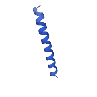 21817_6wl8_7_v1-2
Cryo-EM of Form 2 peptide filament