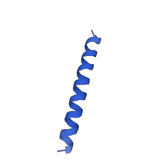 21817_6wl8_8_v1-1
Cryo-EM of Form 2 peptide filament
