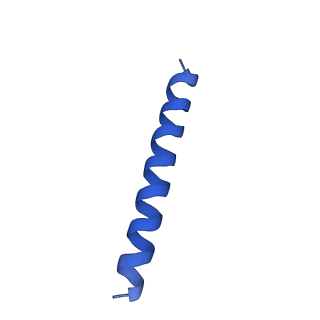 21817_6wl8_8_v1-2
Cryo-EM of Form 2 peptide filament