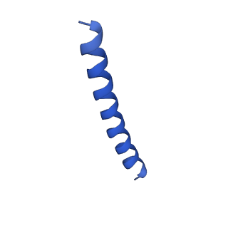 21817_6wl8_A_v1-2
Cryo-EM of Form 2 peptide filament